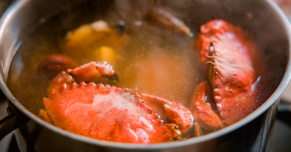 A photo of crabs in a large pot.