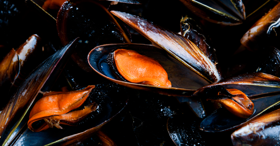 A image of fresh mussels.